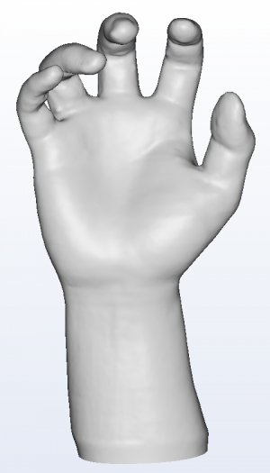 3D foot scanner